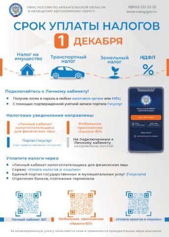 Срок уплаты налогов 1 декабря 2025 года